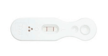 Image: Rapid diagnostic test for malaria (Photo courtesy of ICT Diagnostics).